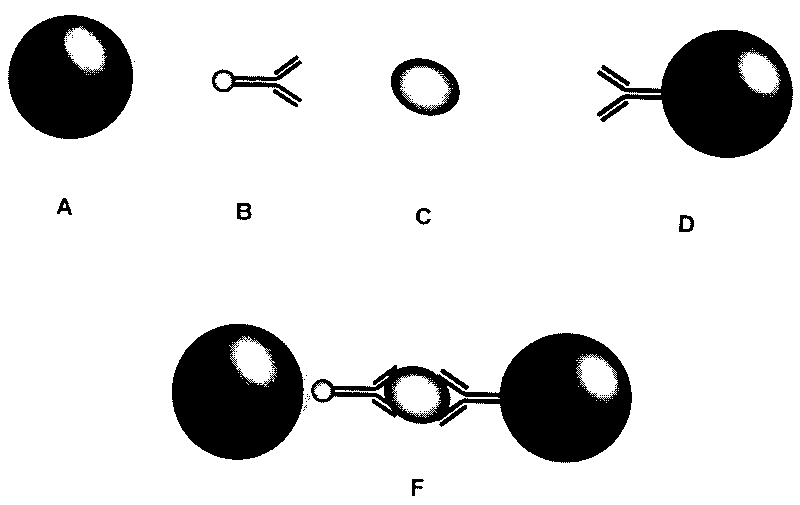 Dry method photic stimulation chemiluminescence immunoassay reagent kit and preparation and application thereof