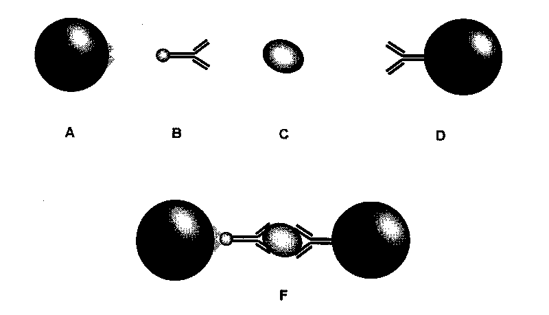 Dry method photic stimulation chemiluminescence immunoassay reagent kit and preparation and application thereof