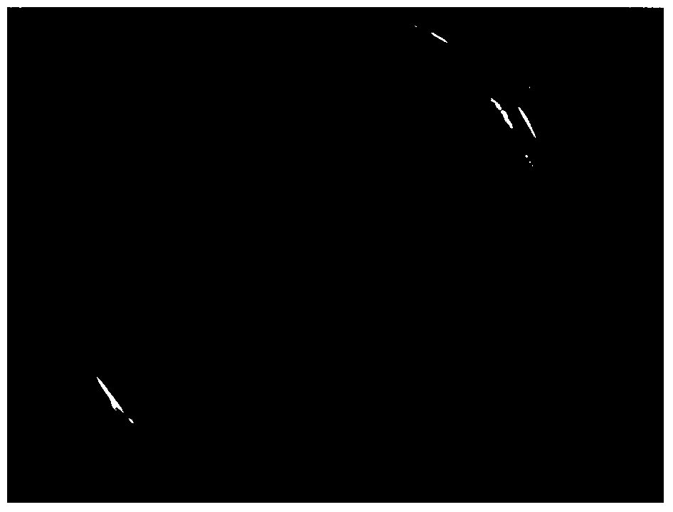 Bacillus subtilis strain for producing nattokinase and application thereof