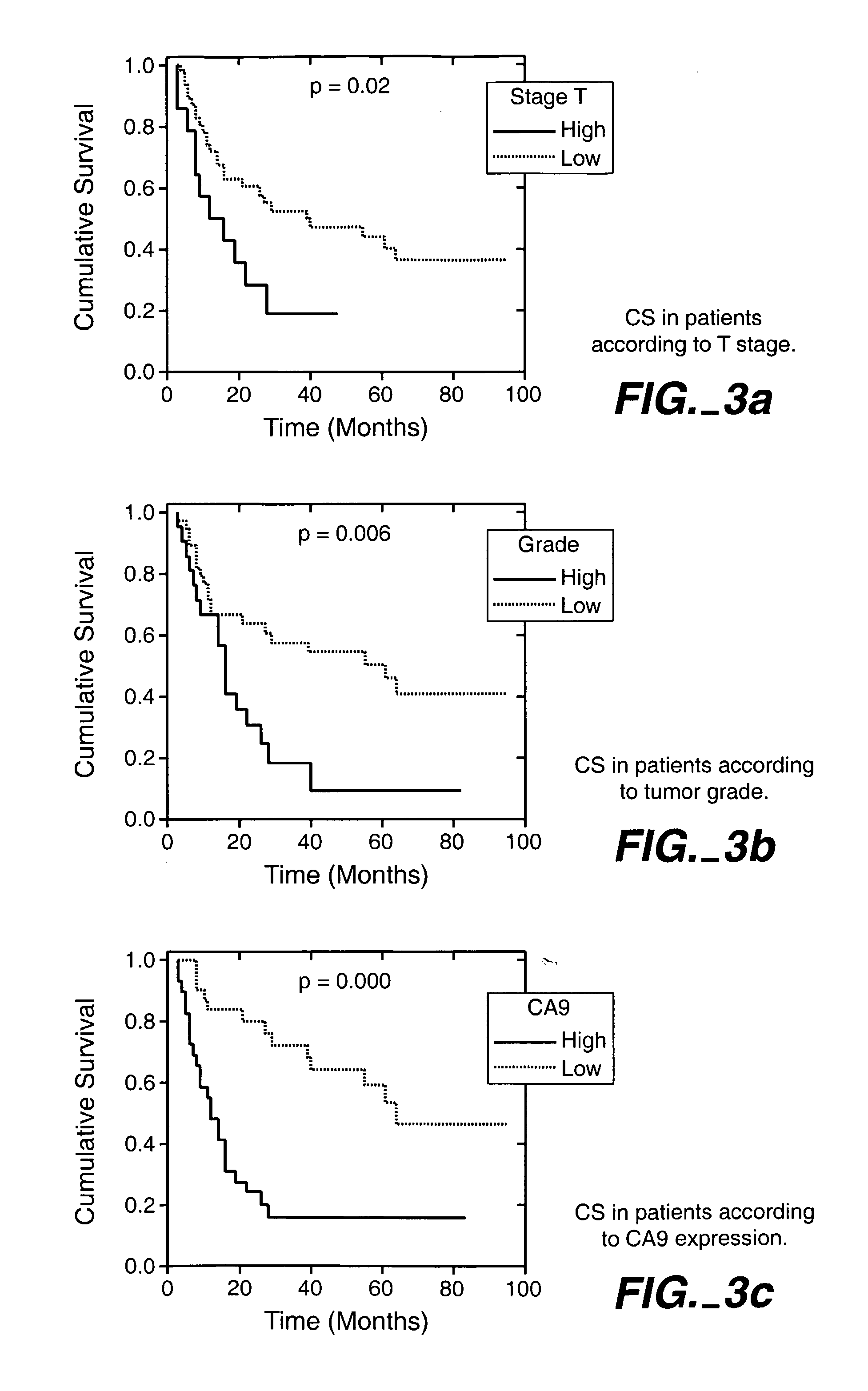 Mn/Ca Ix/Ca9 and Renal Cancer Prognosis