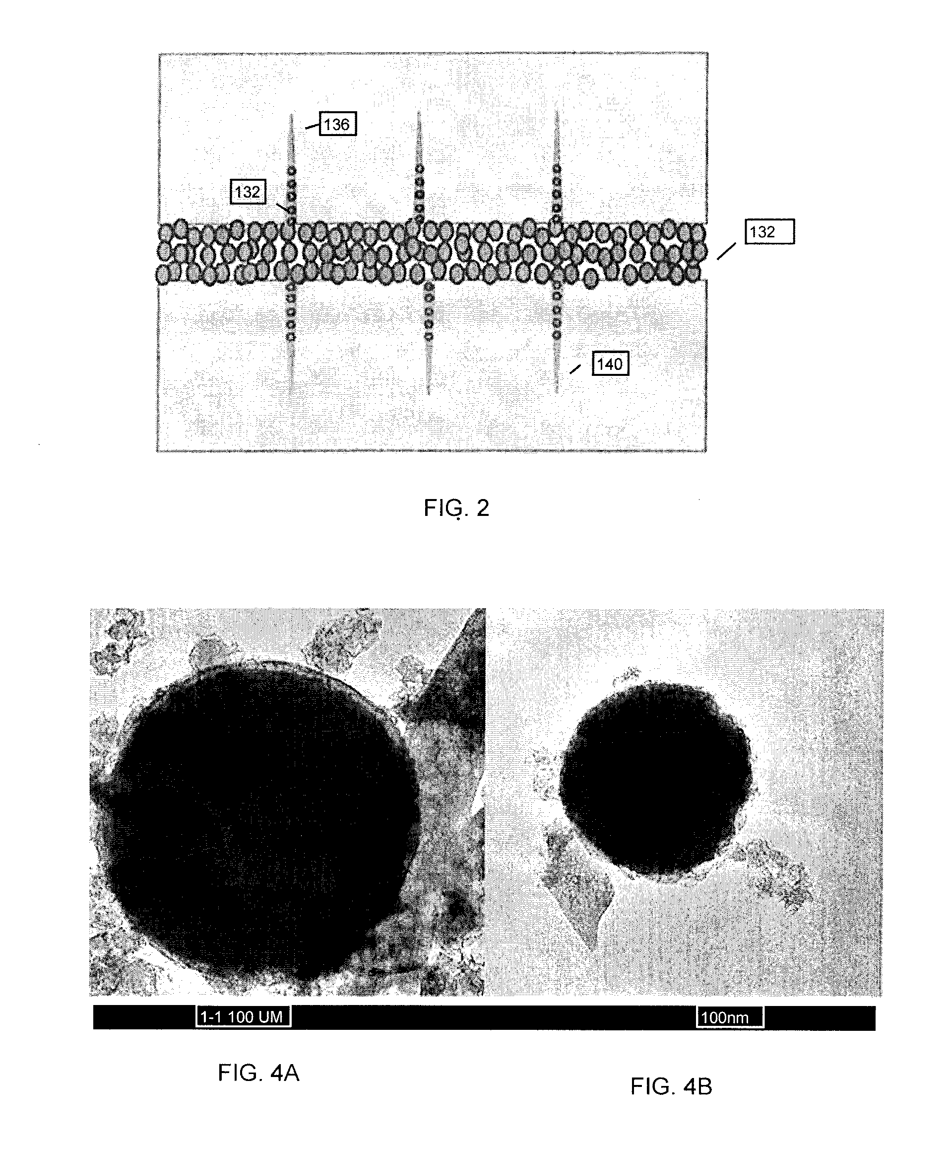 Nano-proppants for fracture conductivity