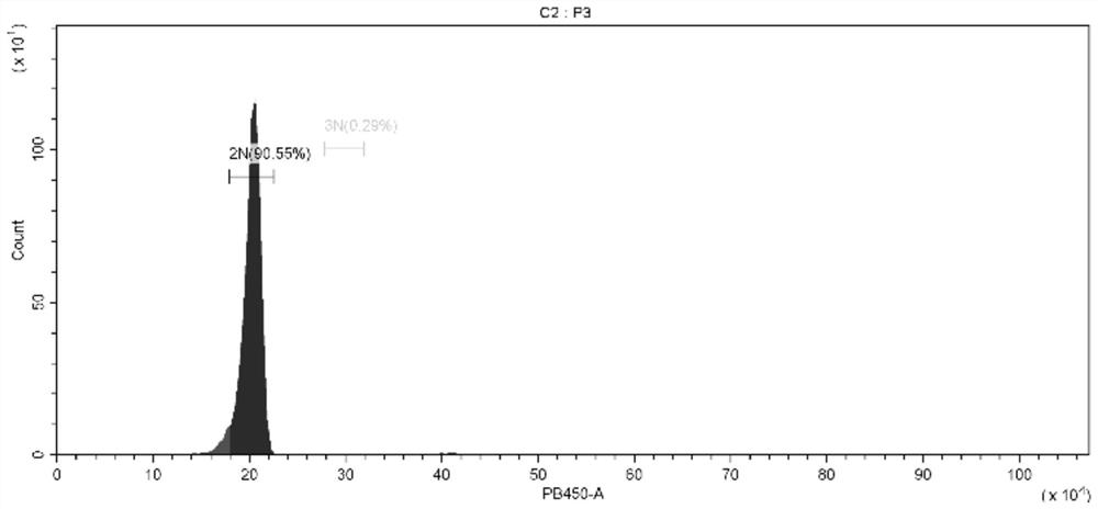 Method for producing allotetraploid by hybridizing crassostrea angulata diploid and crassostrea hongkongensis triploid