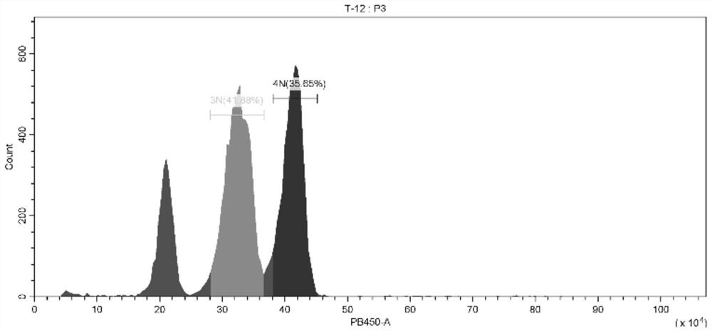 Method for producing allotetraploid by hybridizing crassostrea angulata diploid and crassostrea hongkongensis triploid