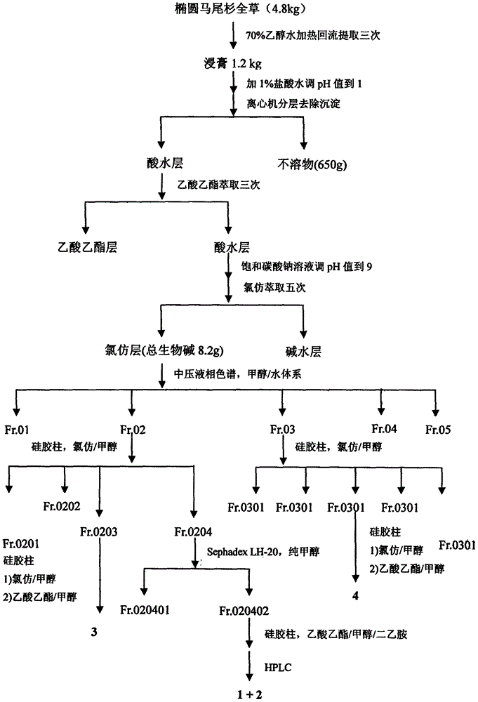 Club moss alkaloid compound and medicine composition therefore, as well as preparation method and application thereof