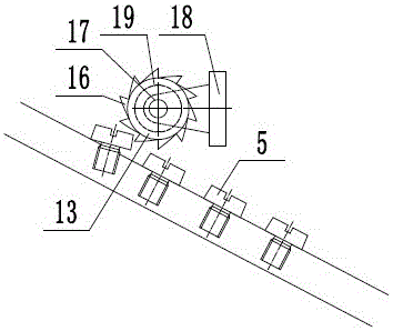 Screw supply device