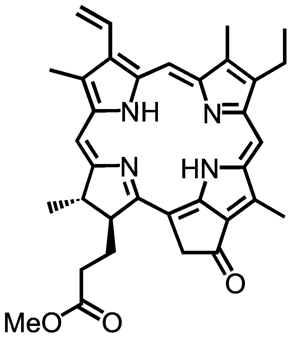 Asplenium nidus extract and use thereof