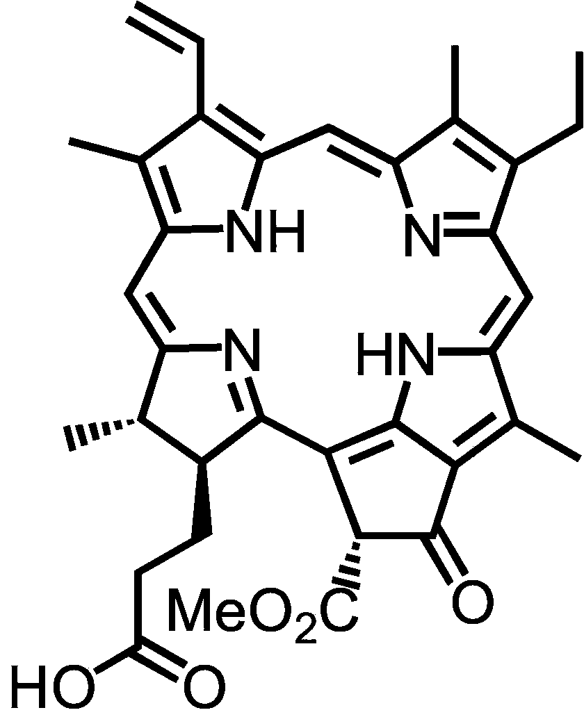 Asplenium nidus extract and use thereof