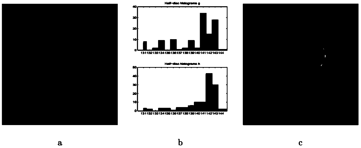 A Leukocyte Segmentation Method Based on Nonlinear Combination of Multiple Features