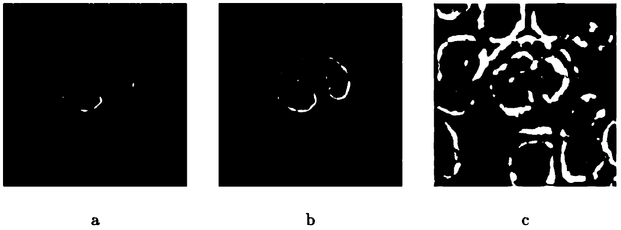 A Leukocyte Segmentation Method Based on Nonlinear Combination of Multiple Features