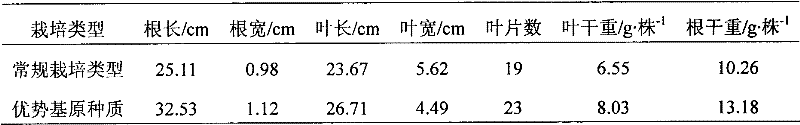 Screening method of advantage-based stock seed of isatis root