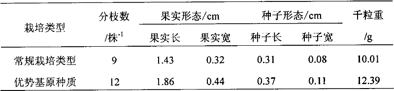 Screening method of advantage-based stock seed of isatis root