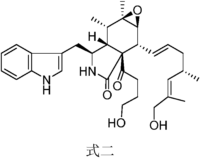 Sowbug symbiotic bacterium of chaetomium globosum and application thereof to preparation of antitumor compounds