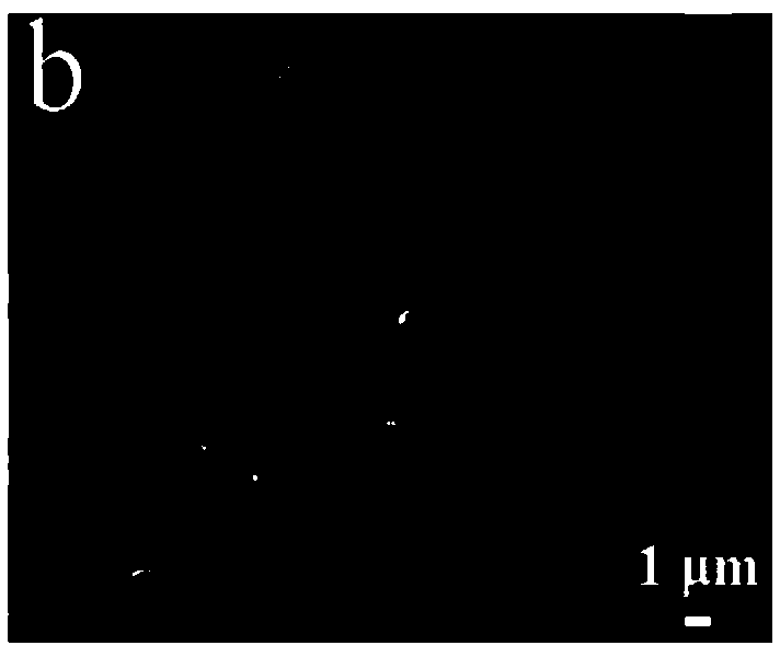 Copper-based composite metal oxide mesocrystal microsphere as well as preparation method and application thereof