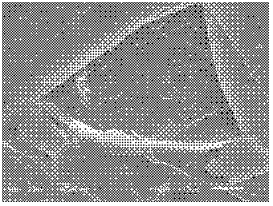 Flexible conductive thin film compositing two-dimensional graphene and one-dimensional nanowire and preparation method thereof