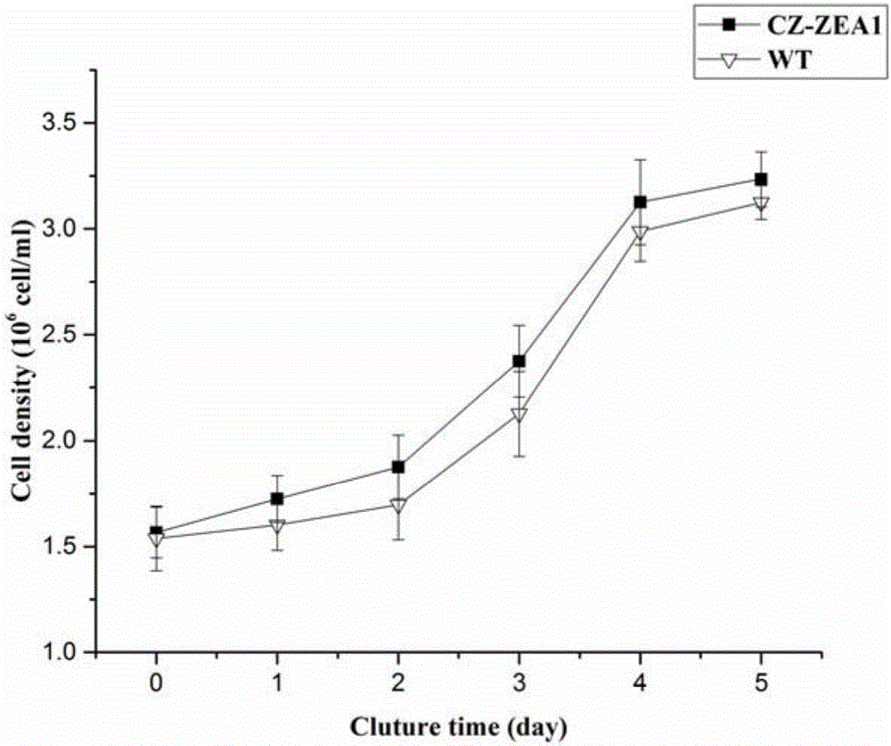 Mutant chlorella strain capable of producing zeaxanthine and beta-carotene and culturing method thereof