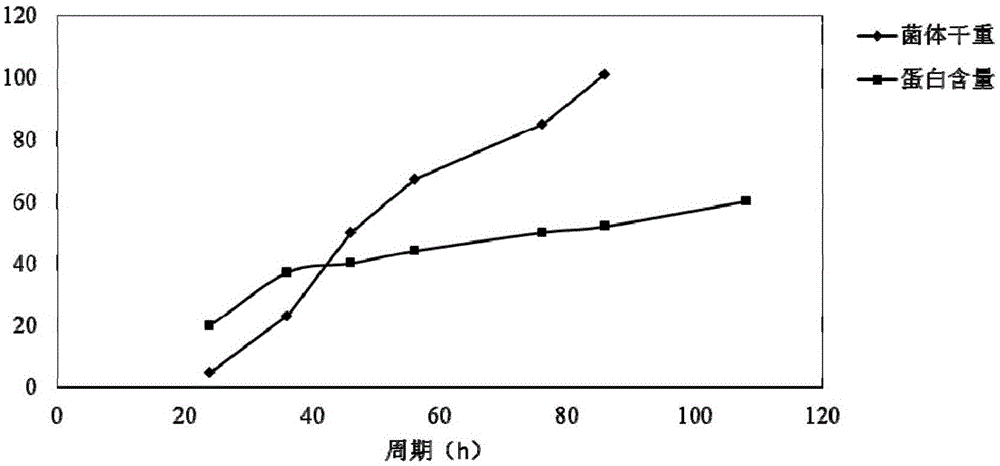 Production technology for high-density culture of chlorella by utilizing fermentation method