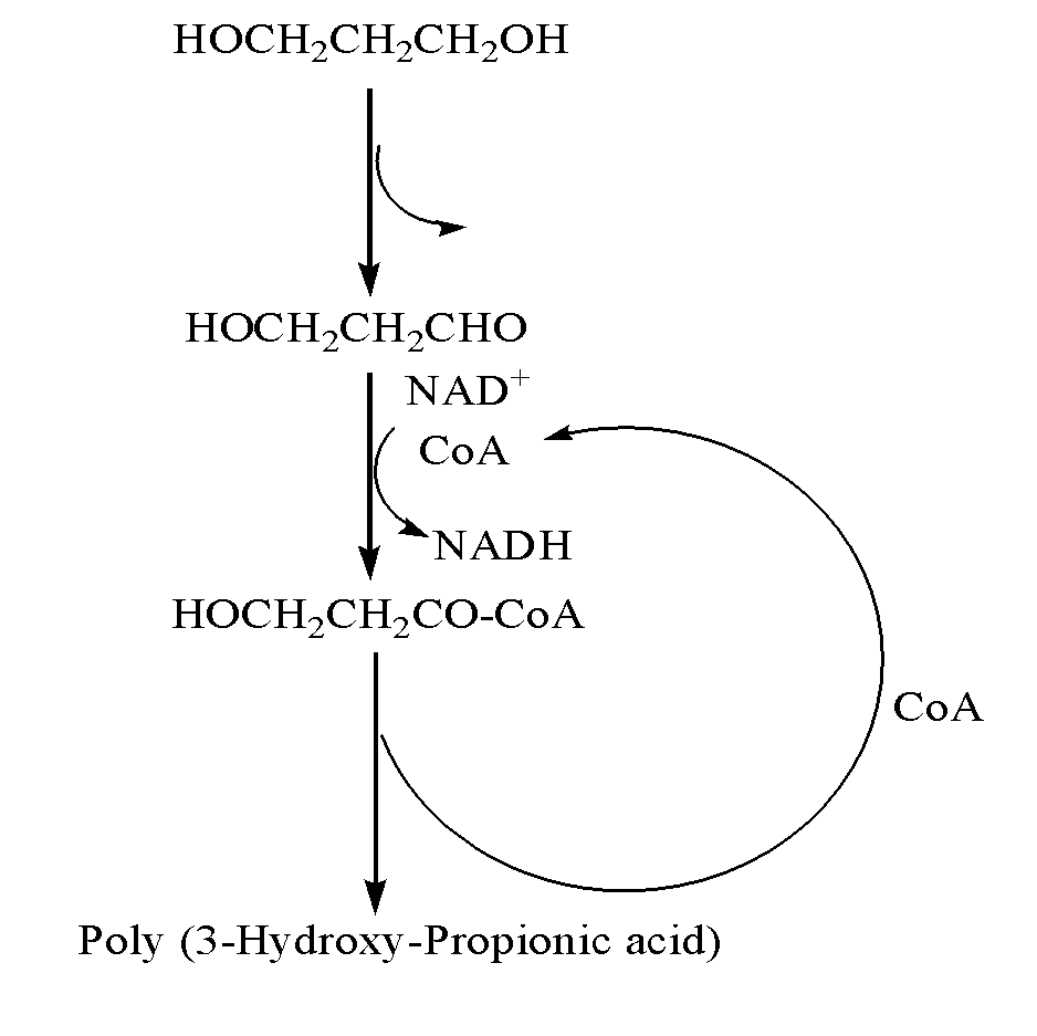 Methods and genetically engineered micro-organisms for the combined production of pdo, bdo and php by fermentation