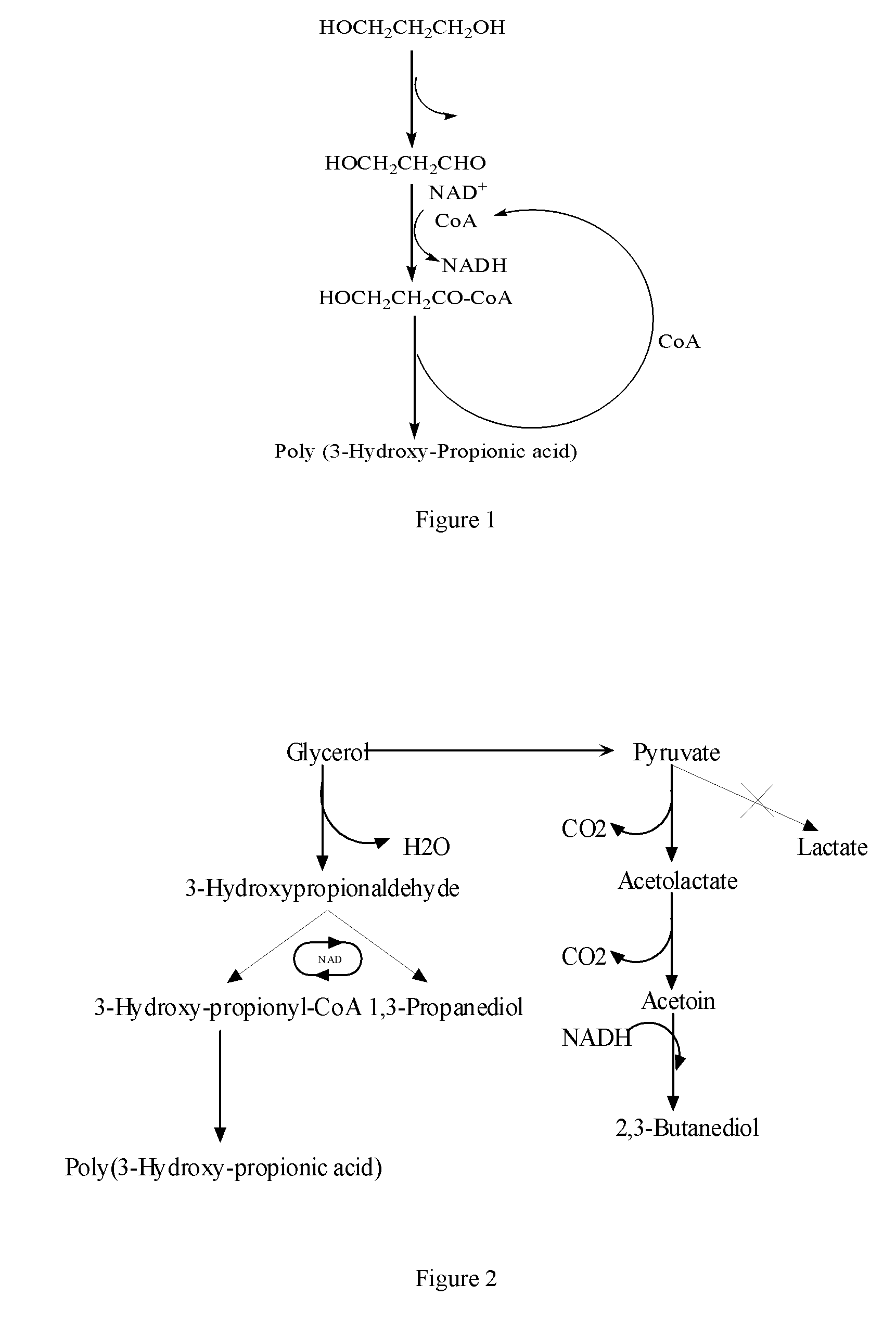 Methods and genetically engineered micro-organisms for the combined production of pdo, bdo and php by fermentation