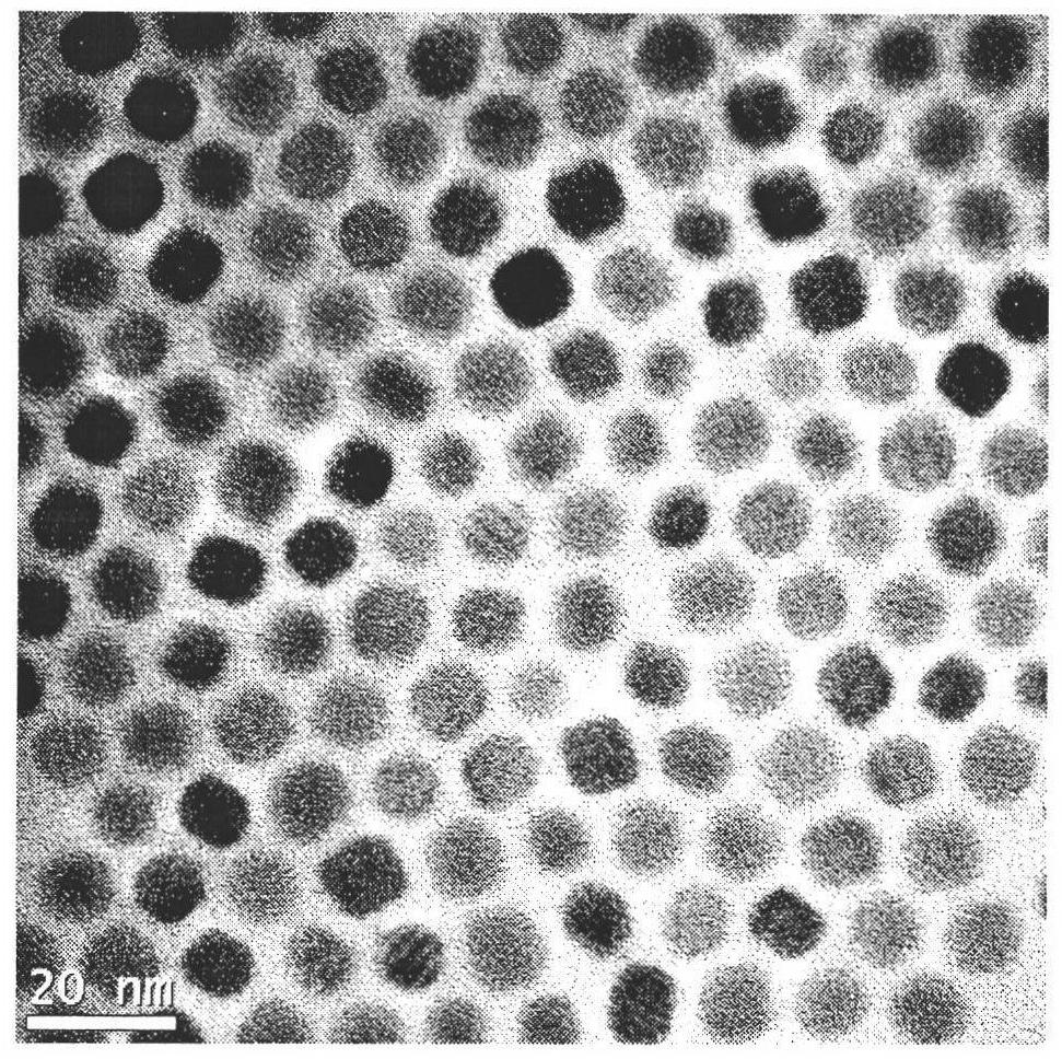 Preparation method of PbSxSe1-x ternary nanocrystal