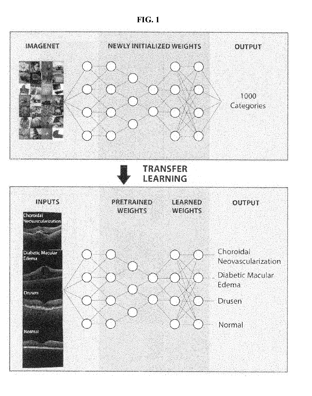 Deep learning-based diagnosis and referral of ophthalmic diseases and disorders