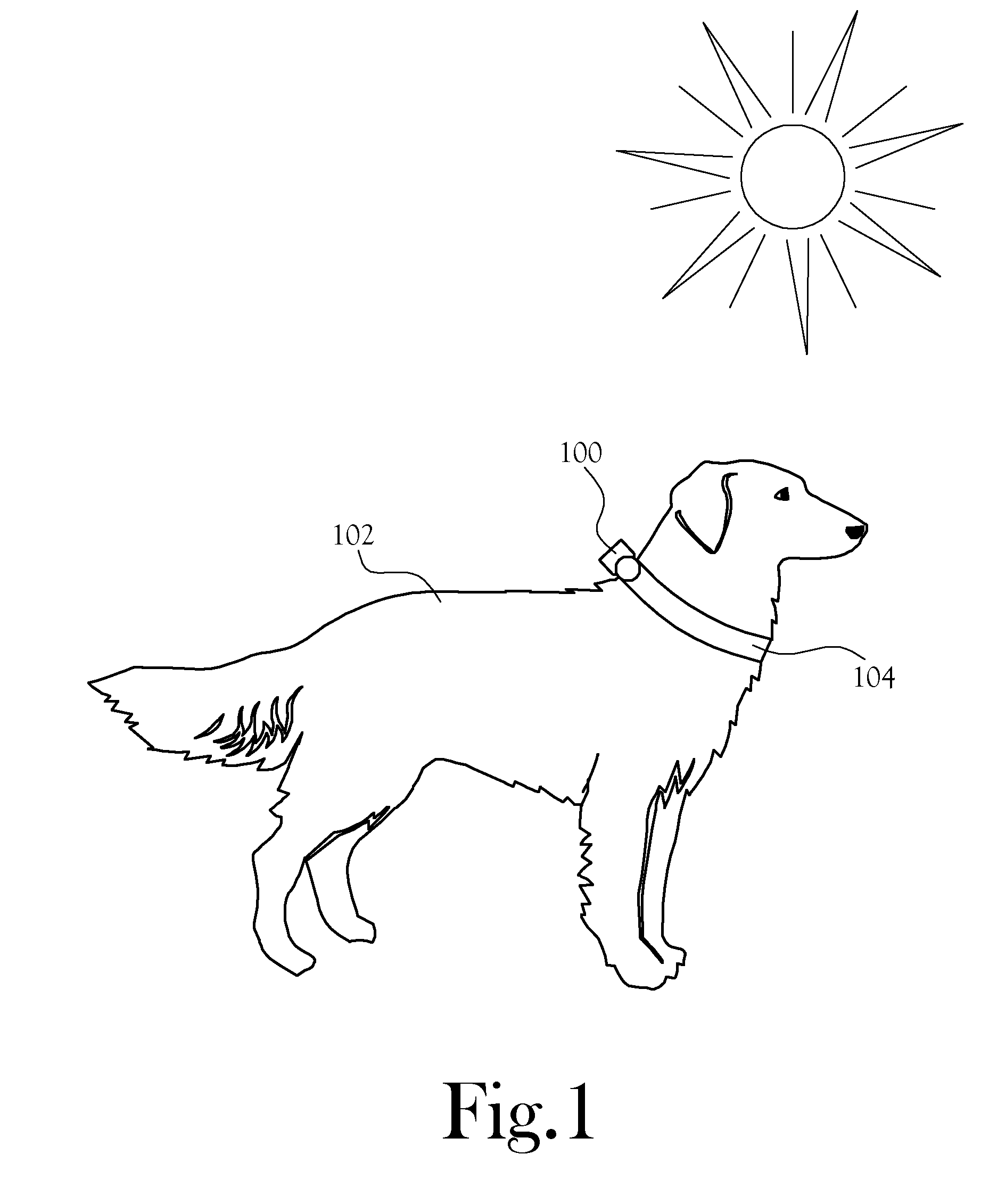 Animal Condition Monitor