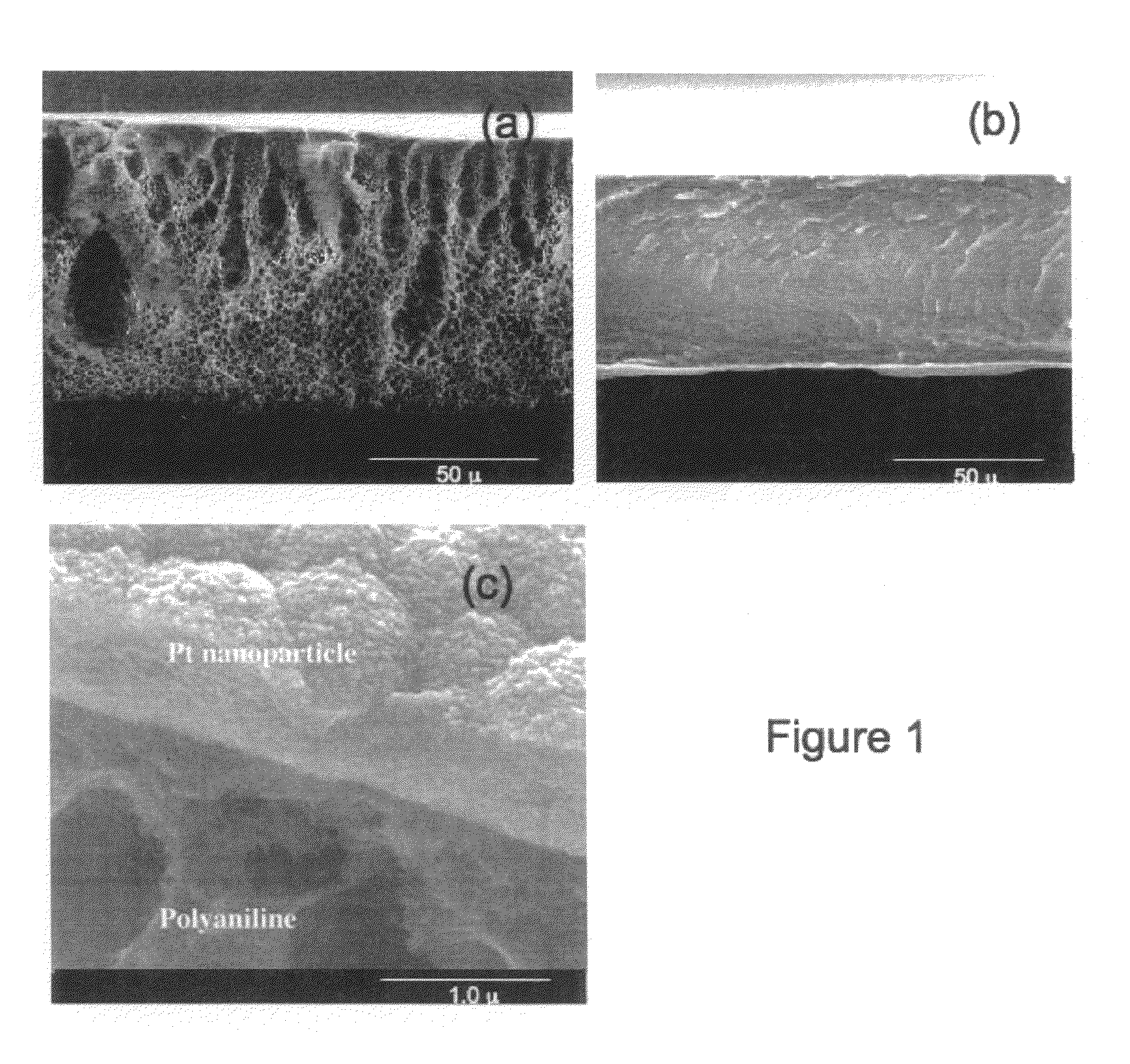 Nanostructured metal-polyaniline composites