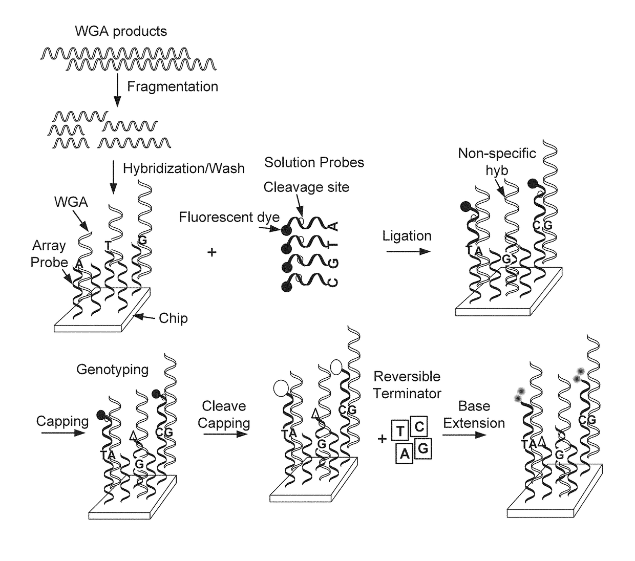 Methods of targeted sequencing