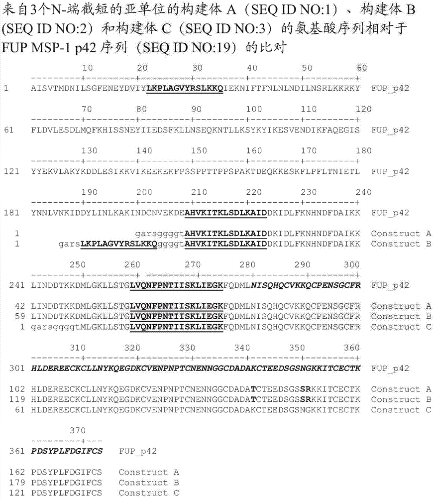 Enhanced malaria msp-1 subunit vaccine