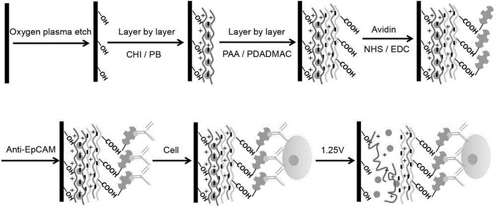 Micro-fluidic chip used for cell sorting and gathering and application of micro-fluidic chip