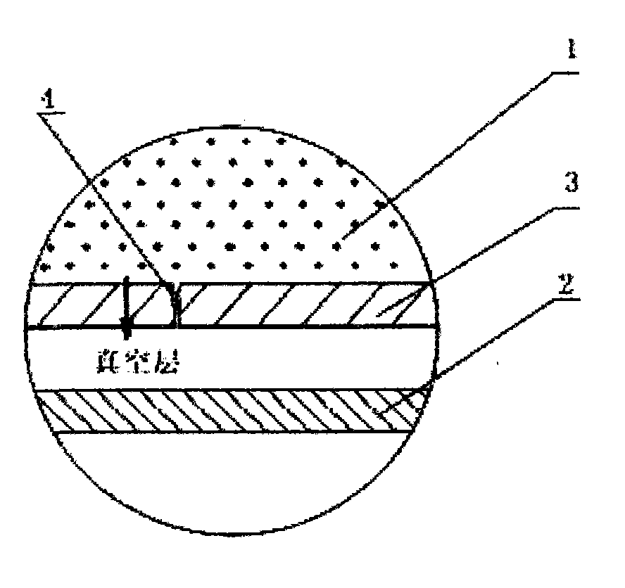 Application of double-layer vacuum time-delay leak detection technique in large capacity injection