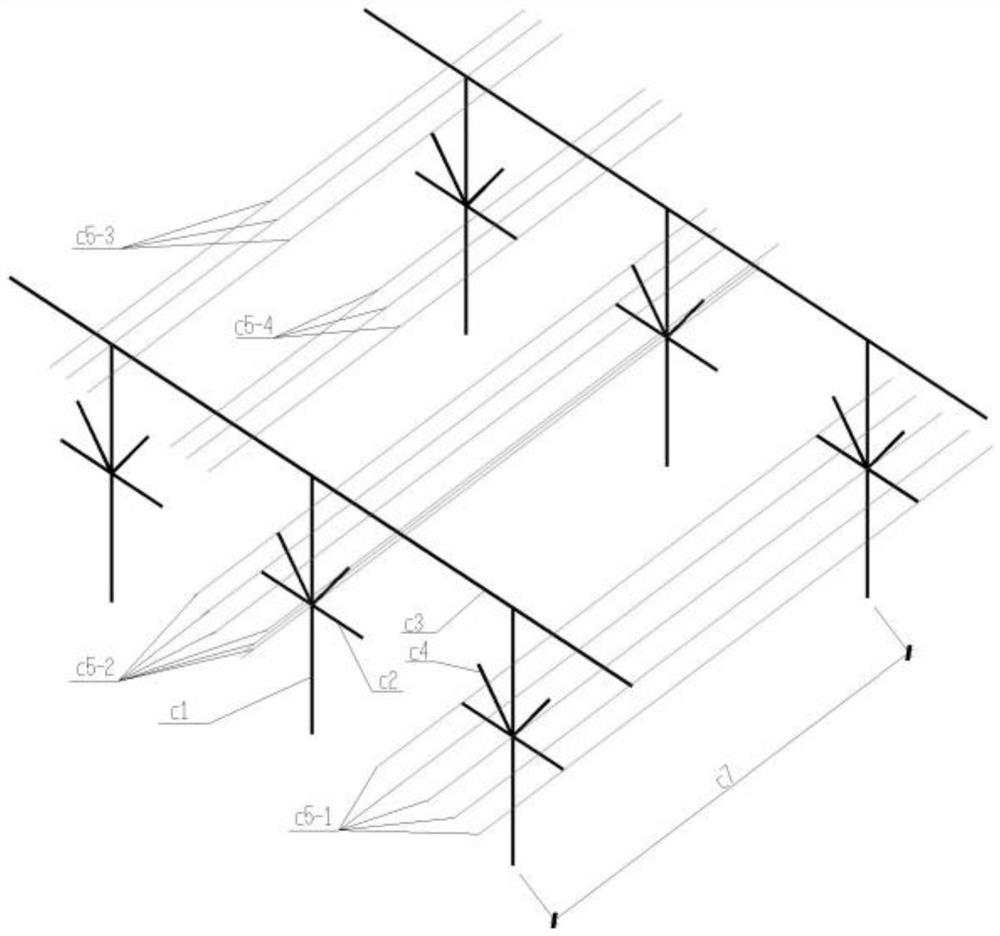 Cultivation method of kiwifruit "flat-shaped vertical frame"