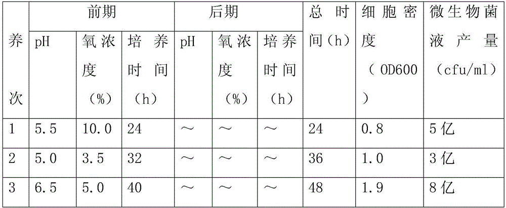 Preparation method of microbial agent capable of continuously desilting and removing black and odorous water body