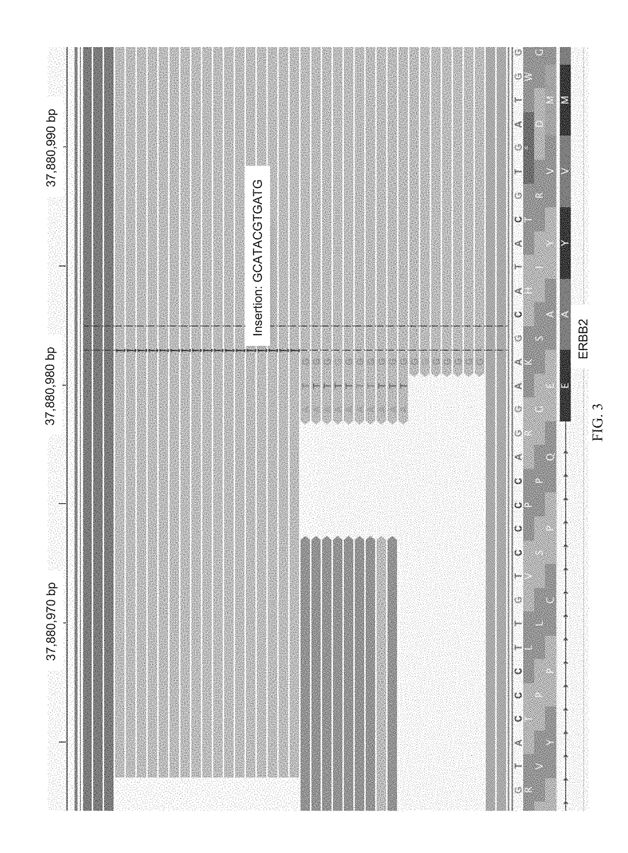 Methods for multi-resolution analysis of cell-free nucleic acids