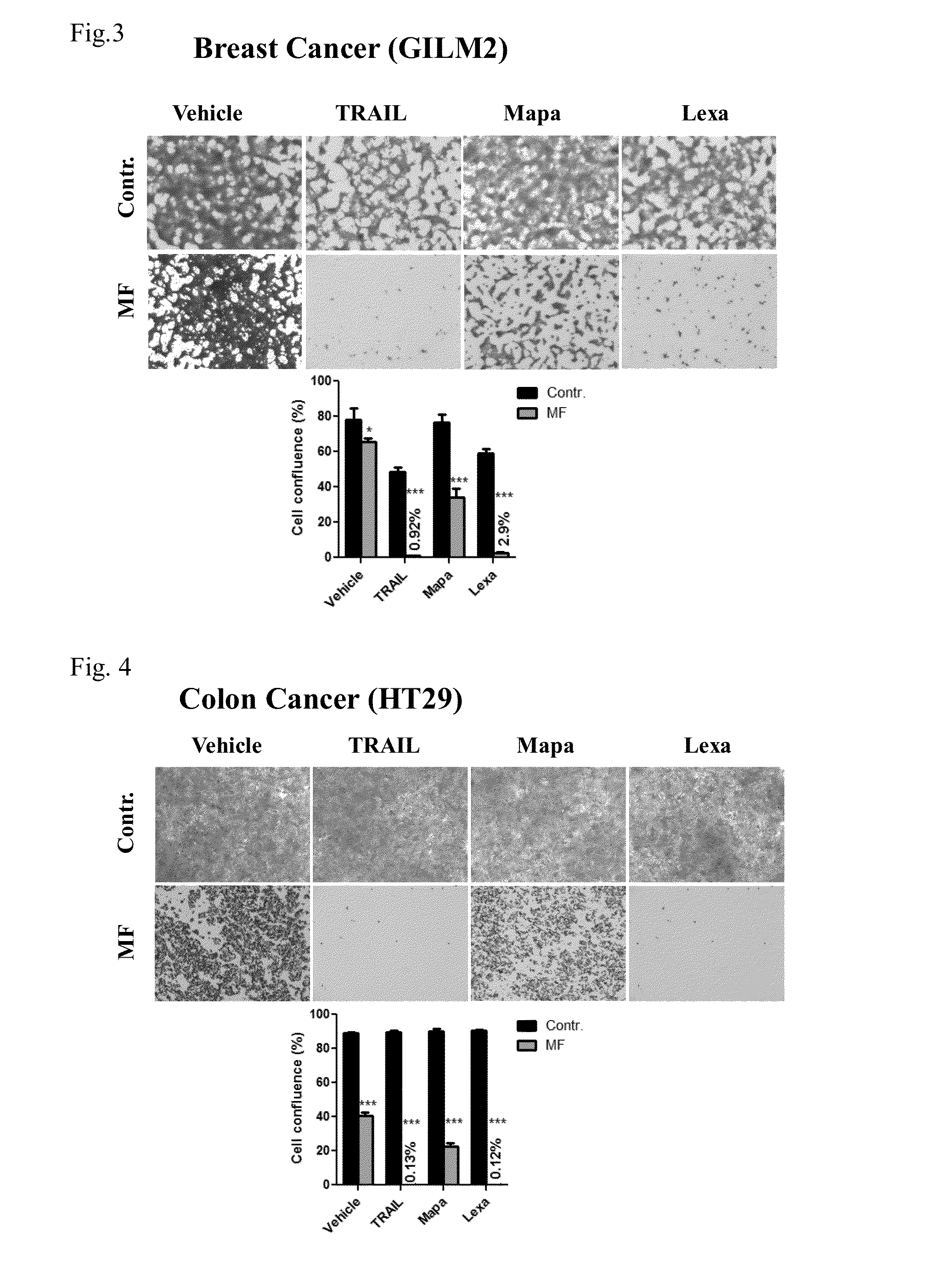 Combination cancer treatment