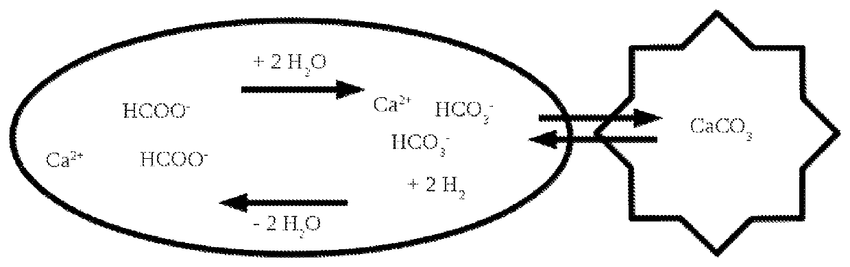 Salt-composition for supplementing a mineral balance in the aquaristic area, ready for use solution of said salt-composition, use of said salt-composition, and aquaristic ornamental stone obtained by said use