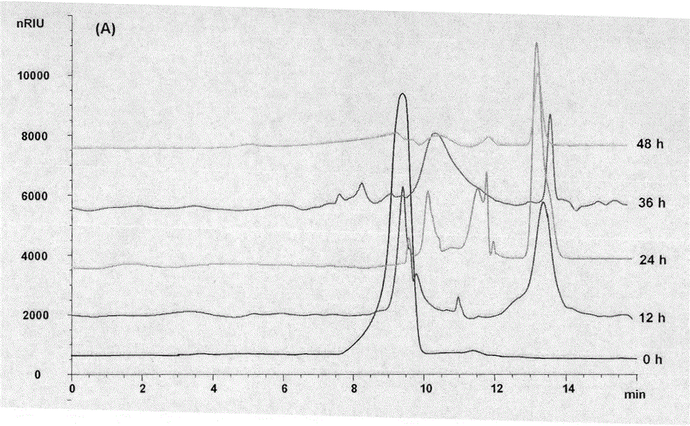 Novel application of neutral extracellular polysaccharides of paecilomyces hepiali