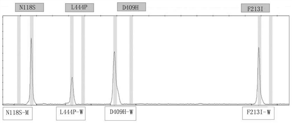 Glucocerebrosidase gene detection kit and detection method thereof