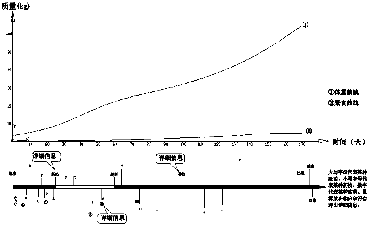 Visual monitoring traceability system and method for animal husbandry products