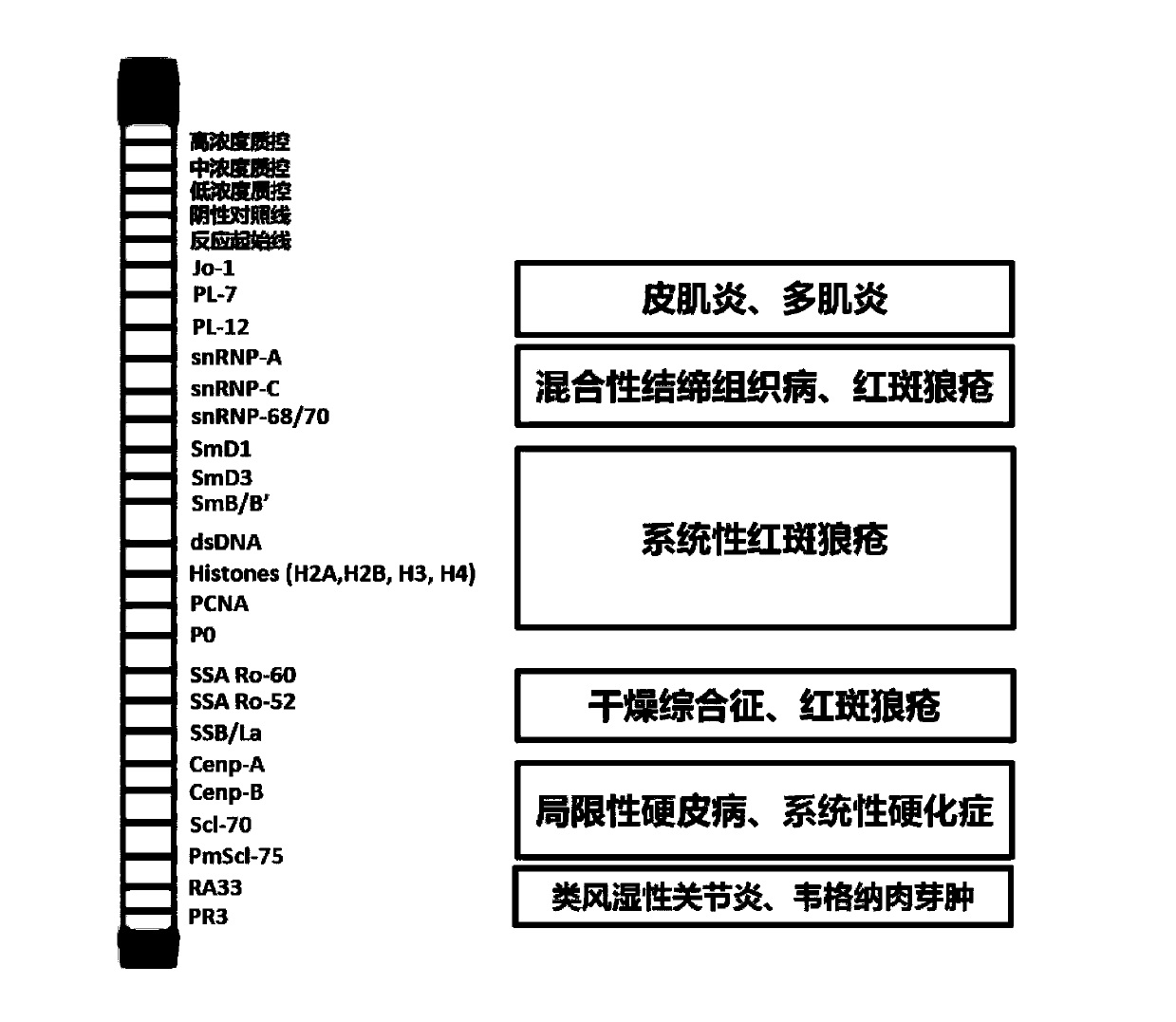 Antigen-immobilized matrix membrane, kit comprising the same for detecting antinuclear antibody spectrum related to autoimmune diseases and purpose thereof