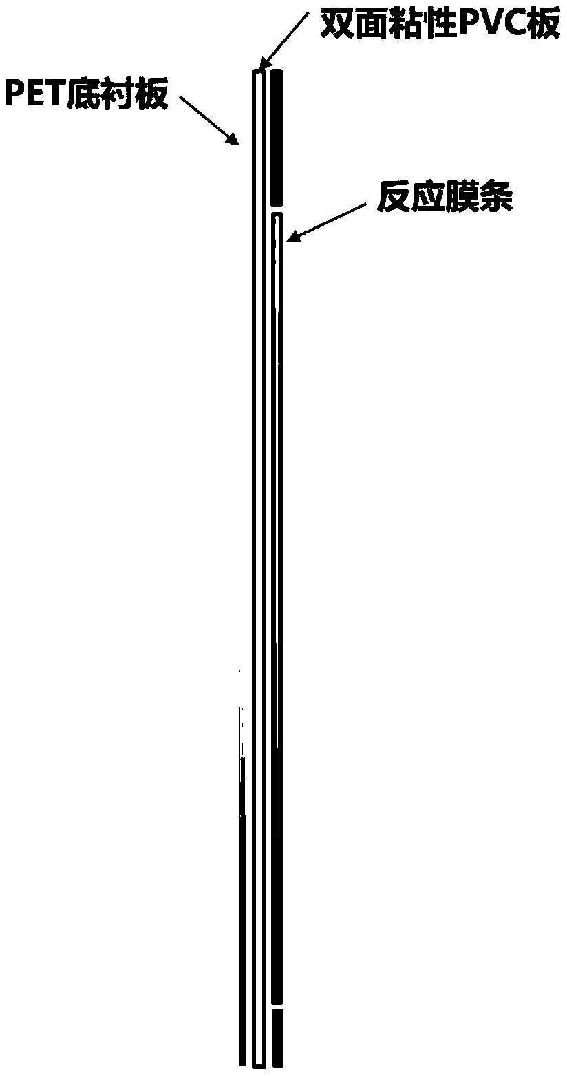 Antigen-immobilized matrix membrane, kit comprising the same for detecting antinuclear antibody spectrum related to autoimmune diseases and purpose thereof