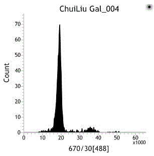 Method for rapid identification of ploidy of salicaceae plant