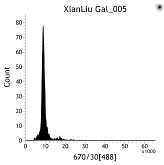 Method for rapid identification of ploidy of salicaceae plant