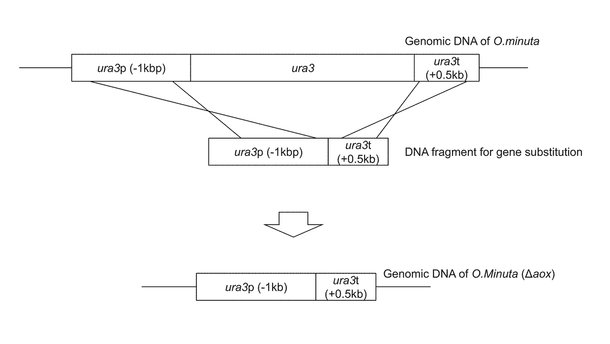 Method for improved high-level secretory production of protein