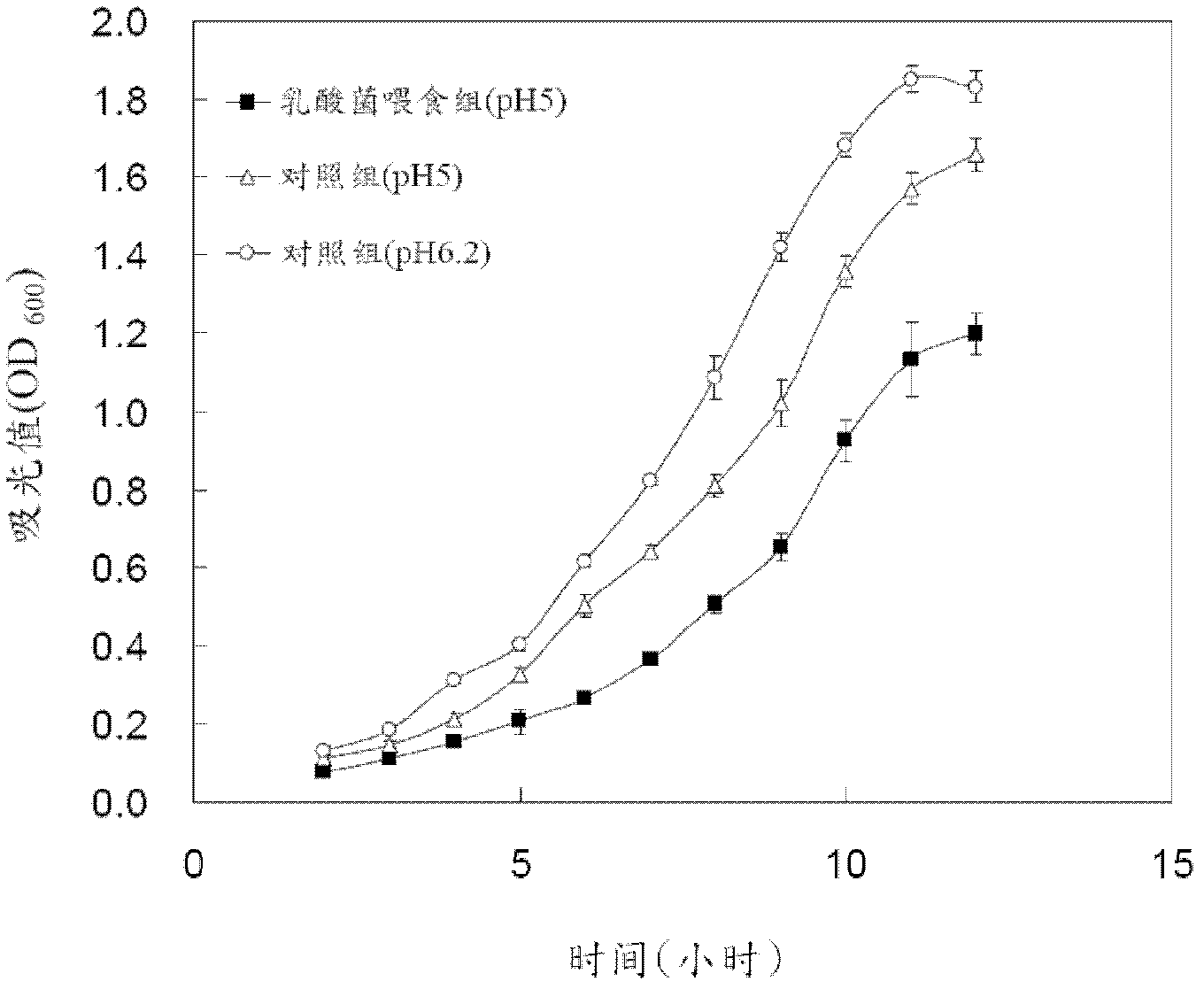 Novel lactic acid bacterial strain, composition containing same and use thereof