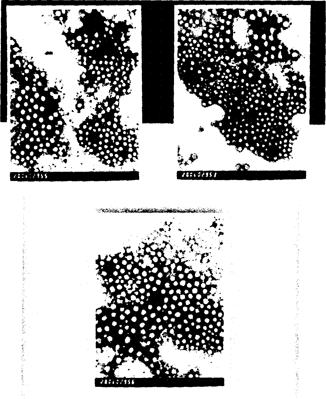 Nanometer granule prepn of bufanin albumin and its prepn process