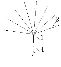 Tailings pond dam body free draining device