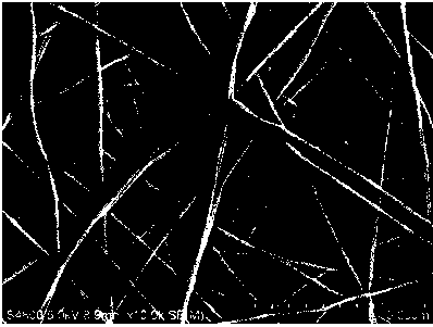 Preparation method for flexible self-supporting porous carbon nanofiber electrode and application thereof