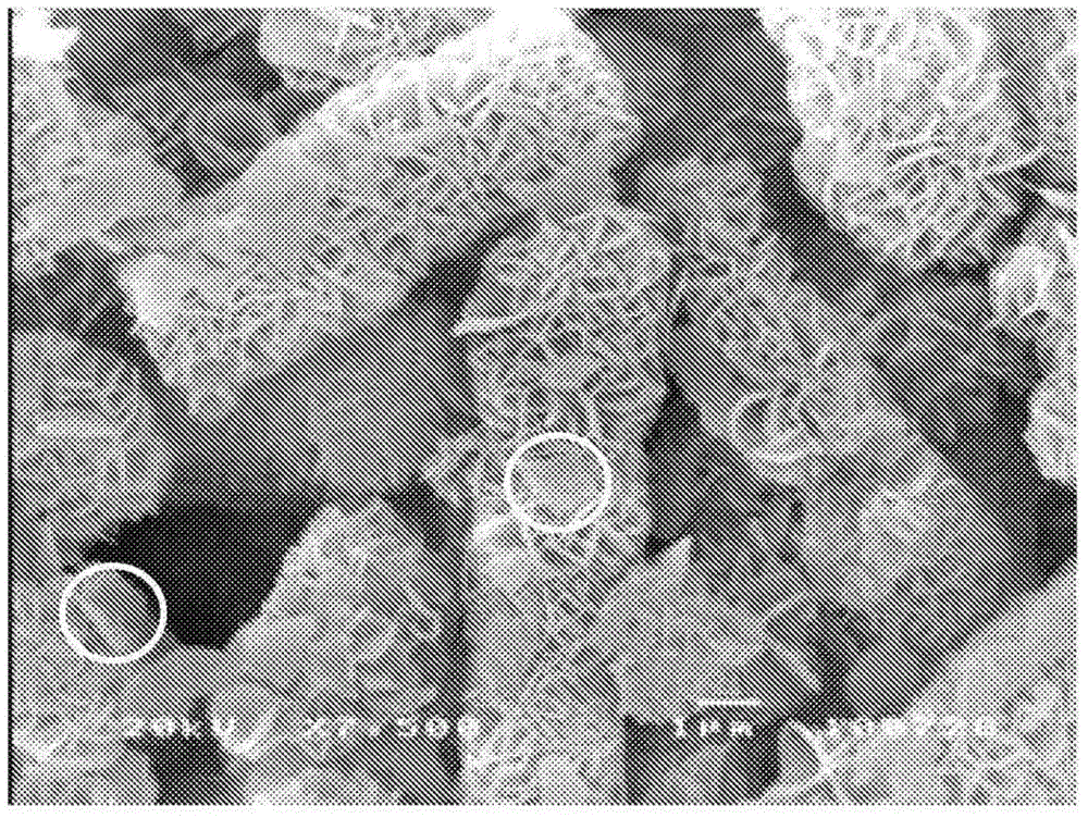 Rod-like magnesium hydroxide particle and rod-like magnesium oxide particle each having high specific surface area, and methods respectively for producing said particles