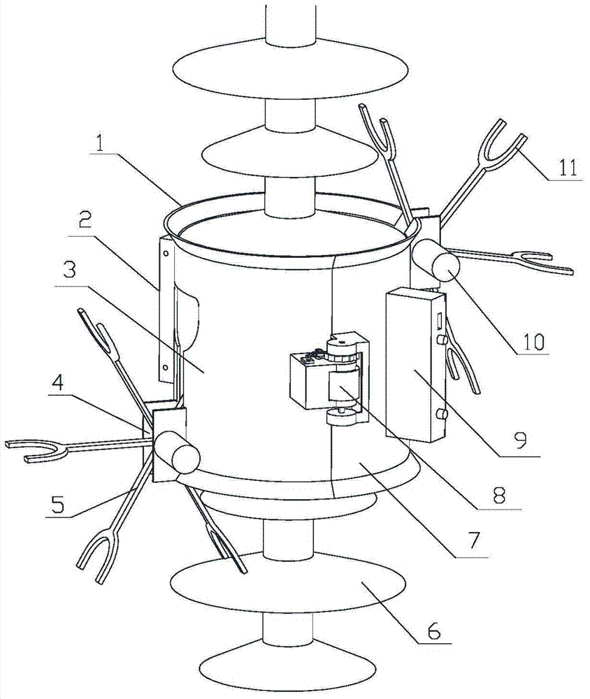 A Composite Insulator Detection System