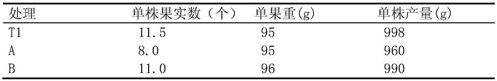 Preparation of tomato soilless culture substrate by using cattle and sheep manure